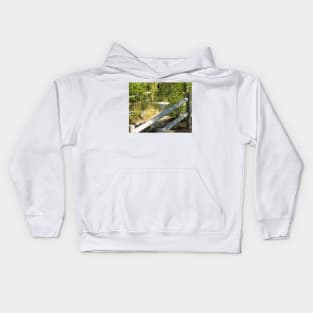 White Mountains, Lower Falls, Kancamangus Highway,New Hampshire, US Kids Hoodie